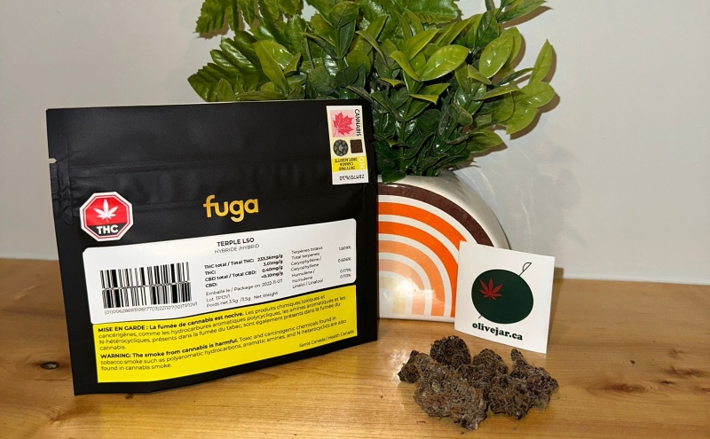 Fuga Terple LSO Hybrid weed nugget on counter